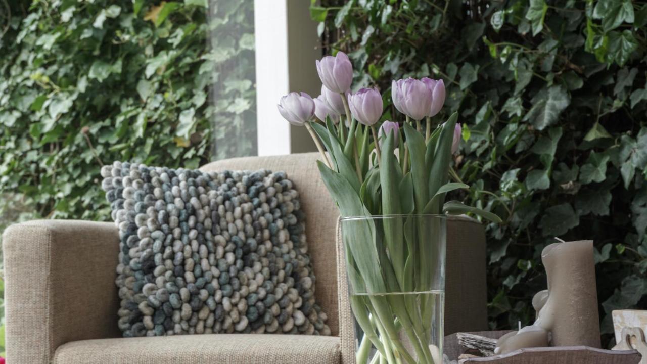 B&B Jardin - Schagen Eksteriør billede