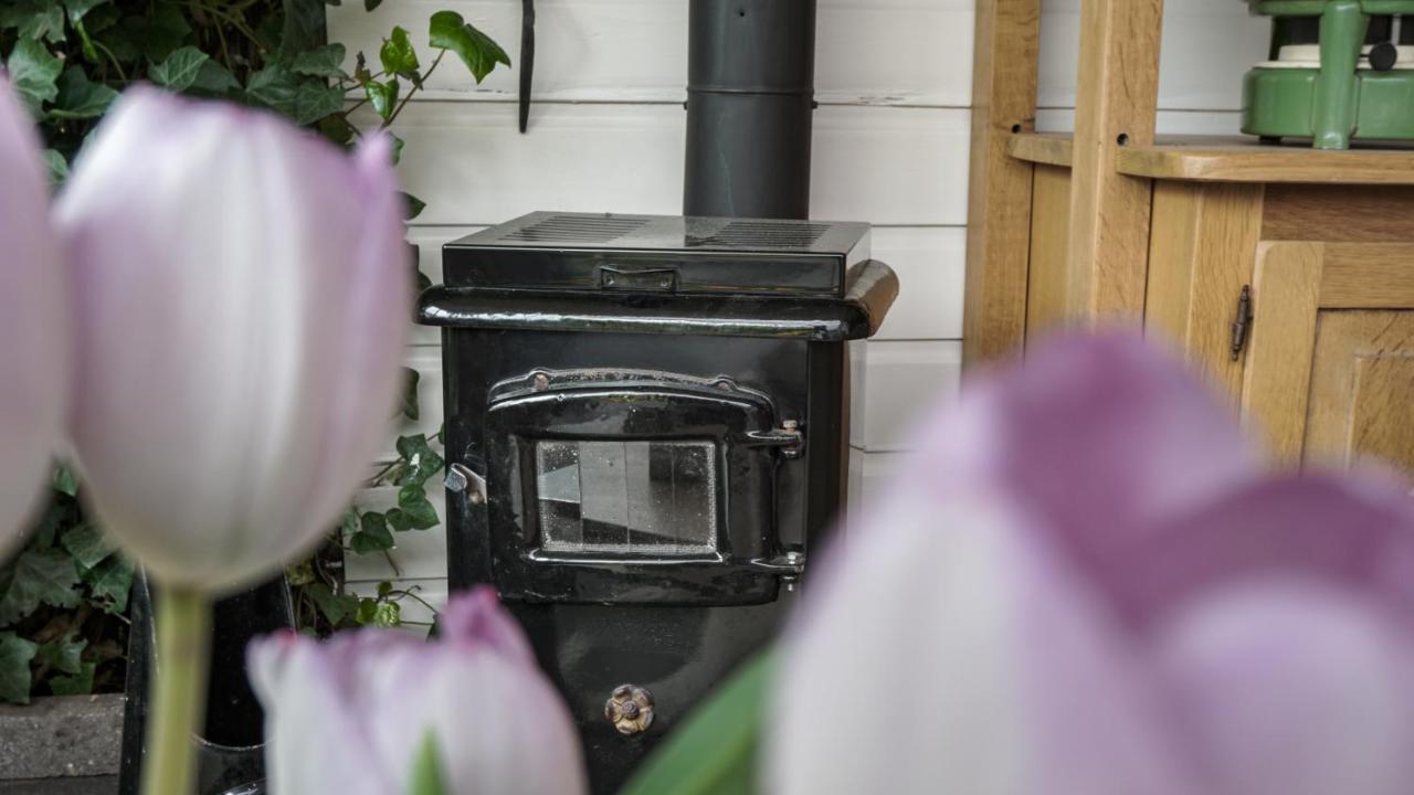 B&B Jardin - Schagen Eksteriør billede